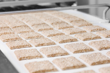 Automated bakery production line, food industry. Fresh Dessert bread baking in oven