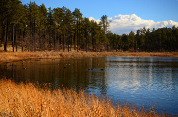 Obraz premium Lake of the Woods Arizona