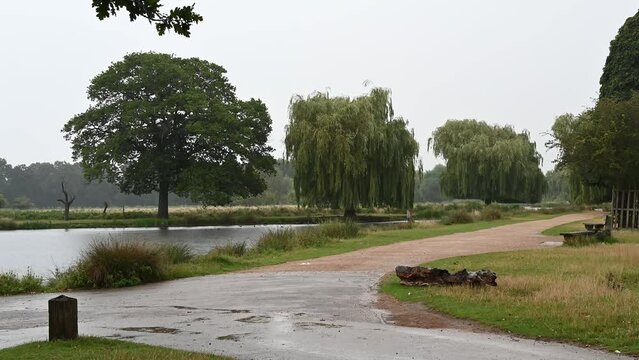 Thunder and rain at Bushy Park ponds in Surrey