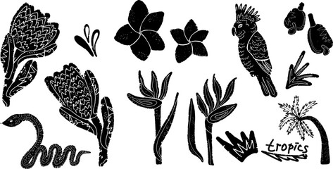 Exotic, tropical flowers .Illustration in linocut style. Vector set, elements collection