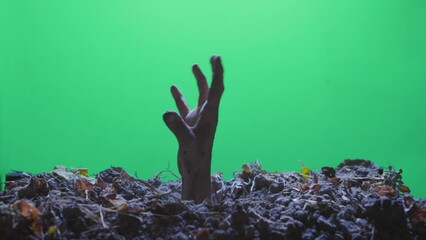 The hand of a dead zombie crawls out of the ground of the grave