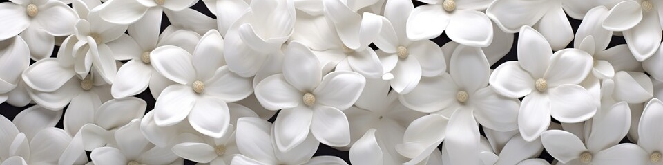 White flowers texture background. Design art