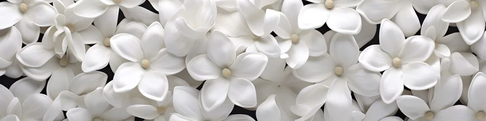 Fotobehang White flowers texture background. Design art © Daniil