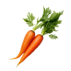 Carrot on white backround. Top view. Flat lay.