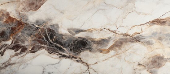 Obraz na płótnie Canvas A close-up image of a polished marble surface, resembling a luxurious wallpaper, with blank