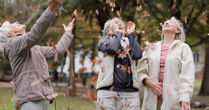 Senior women, friends and throw leaves for comic game, playing or happy together in park for celebration. Group, old people and retirement in nature for funny memory, autumn party or playful in woods