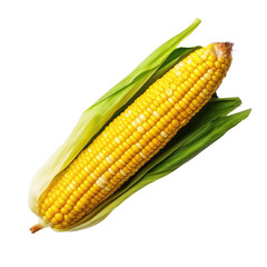 Top view of white backround with grilled corn.