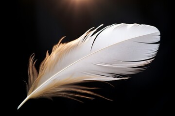 White Feather Close Up on Black Background. Generative AI