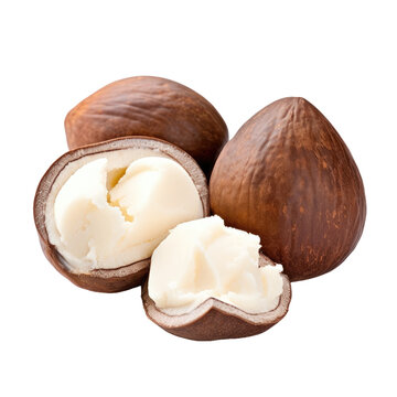 Gorgeous shea nut filled with shea butter.