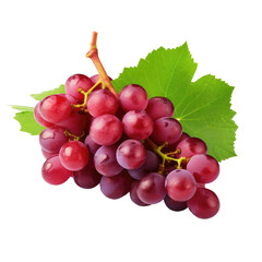 Fototapeta premium Red grapes with green leaves on white backround.