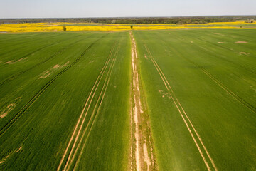 Obraz premium Drone photography of agriculture fields