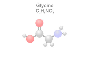 Glycine. Simplified scheme of the molecule. Precursor to proteins.