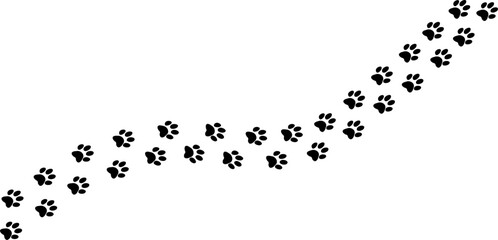 cat footprints on white background. silhouette vector