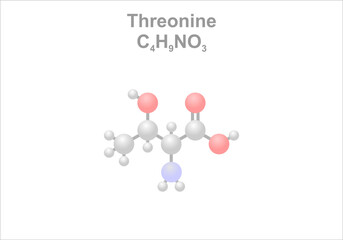 Threonine. Simplified scheme of the molecule. Essential amino acid for humans.