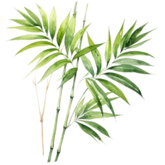 Watercolor painting of tropical foliage: palm leaf, bamboo. © AkuAku