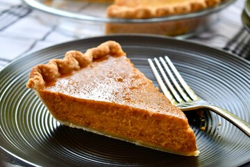 Piece of pumpkin pie