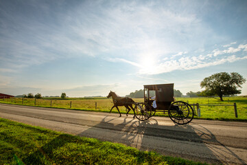 Fototapeta na wymiar Amish horse and buggy in the early morning sun of summer.