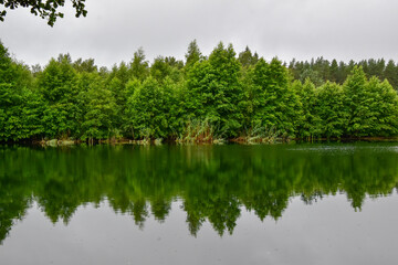 
beautiful reflection in the water from the trees