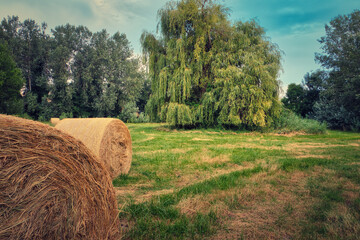 Heuballen - Heu - Stroh - field - harvest - summer - straw - farmland - blue cloudy sky - golden -...