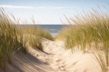 Fototapeta na wymiar Dune grass on the beach, Generative AI