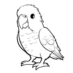 Parakeet coloring pages Png
