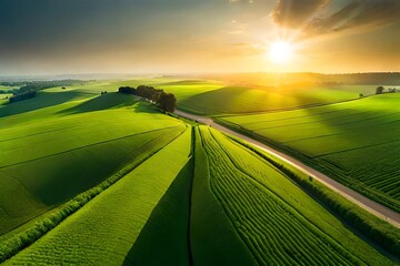 road in the field