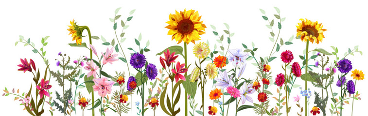 Horizontal autumn's border: sunflower, aster, thistle, gerbera, marigold, daisy flowers, twigs on white background. Digital draw, realistic illustration in watercolor style, panoramic view, vector