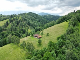 Scenic landscape view featuring vibrant green rolling hills, lush trees, and vibrant red barns