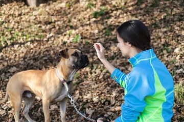 Young brunette woman with a Black Mouth Cur dog in a park in the daylight