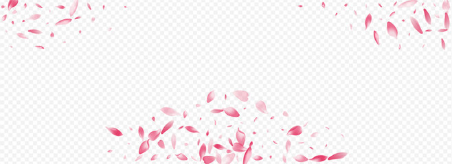 Bright Confetti Vector Panoramic Transparent
