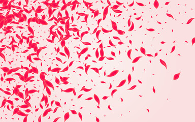 Coral Cherry Vector Pink Background. Japan Flower