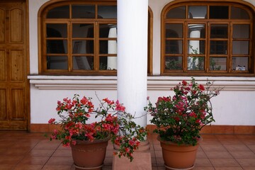 Fototapeta na wymiar Exterior vintage looking building with wooden windows and potted planters with red blooming flowers.