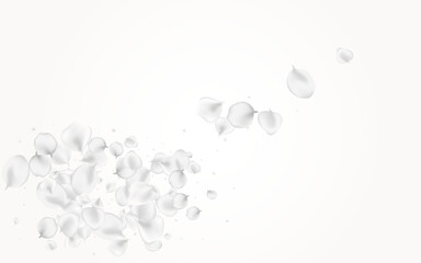 Snowy Sakura Vector Light Background. Delicate