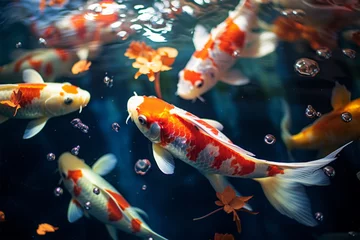 Colorful fish and koi swimming in vivid underwater world with sea life. © masud