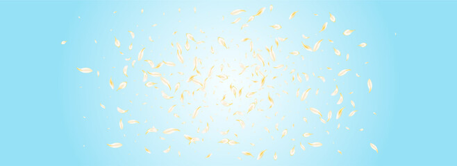 Light Blossom Fall Vector Panoramic Blue