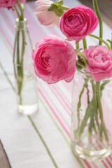 Vibrant display of pink flowers in clear vases featured atop a striped tablecloth.