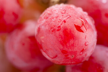 Red Grapes close up