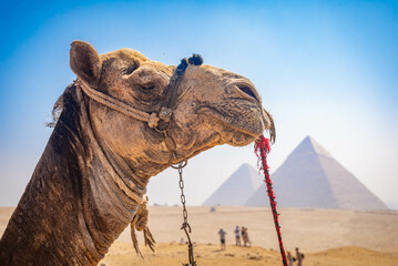 Esfinge famosa y las grandes pirámides en niebla y smog, Giza, El Cairo, Egipto