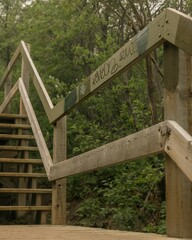 Fototapeta premium an image of the wooden steps that go up into the woods