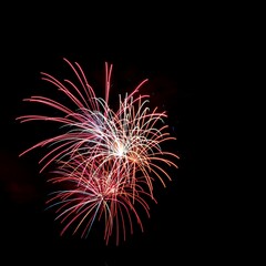 Vibrant nighttime display of fireworks exploding in the sky