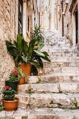 Vertical of green plants in pots on stone stairs in a small town street