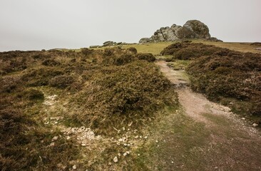 Landscape of the Haytor Rocks Dartmoor under a cloudy sky in Haytor Vale, England