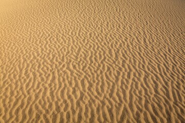 Vast expanse of desert sand, untouched and devoid of any human activity