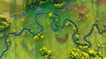 Natural river between the forest - aerial high view