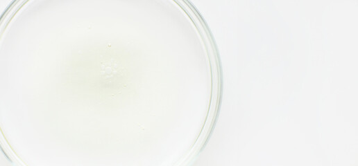 Fototapeta na wymiar Petri dish with liquid and small bubbles on a light background
