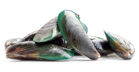 Raw food of fresh beautiful green mussels in stack isolated on white background with clipping path and shadow in png file format