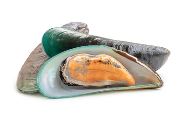 Steamed or cooked food of fresh beautiful green mussels in stack isolated on white background with...