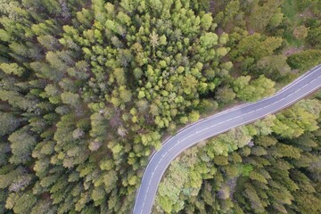 Aerial view of an asphalt highway cutting through a dense forest of trees.