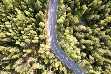 Aerial view of an asphalt highway cutting through a dense forest of trees.