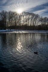 Winter at the Chateau of Versailles Park